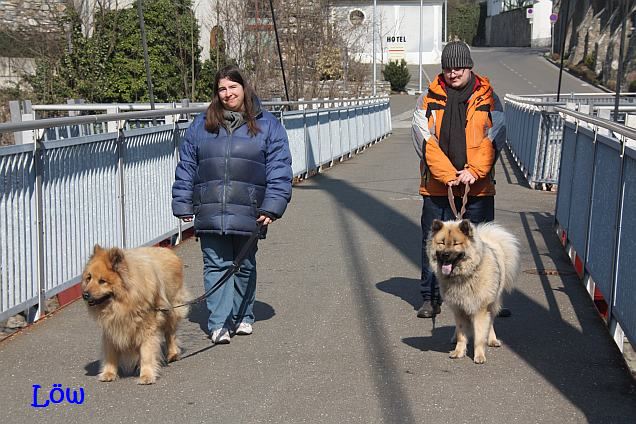 27.3.2016 - Bruck / Fußgängerbrücke